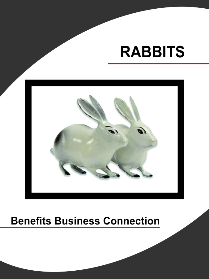 Rabbits - Develops Beneficial Business Connections